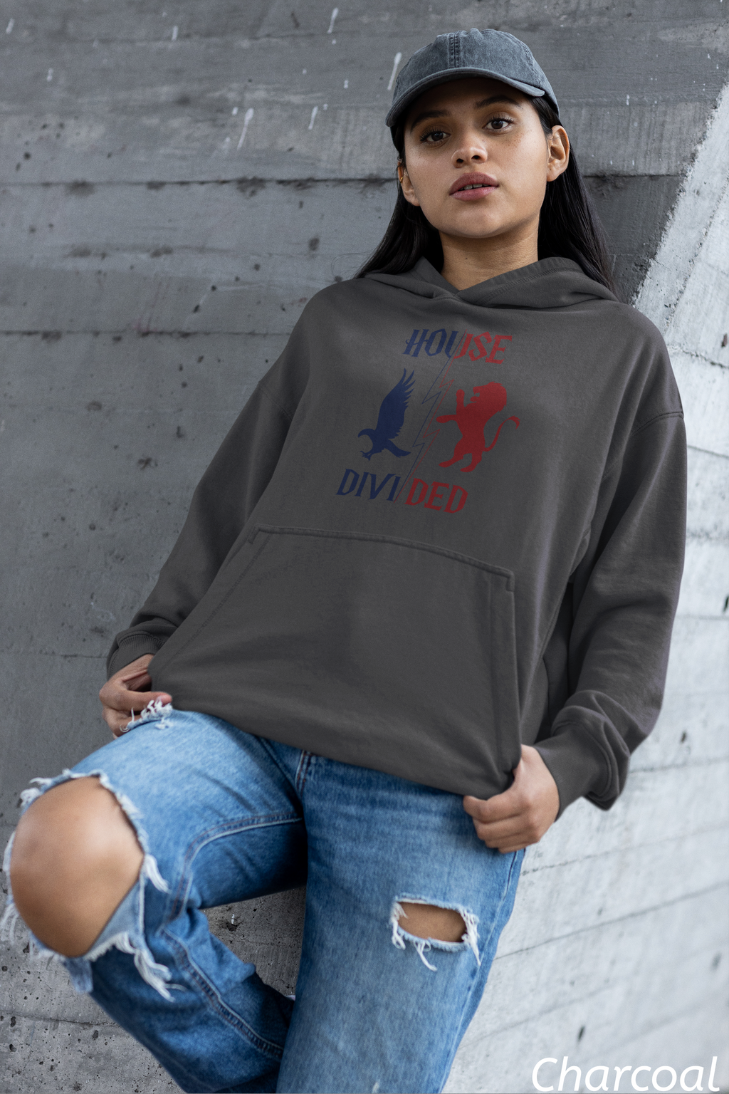 House Divided Rivalry Hoodie- Raven + Lion Wizardcore Couple Hoodie
