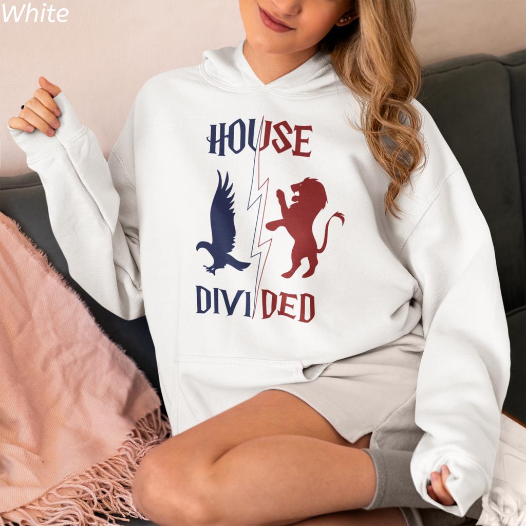 House Divided Rivalry Hoodie- Raven + Lion Wizardcore Couple Hoodie