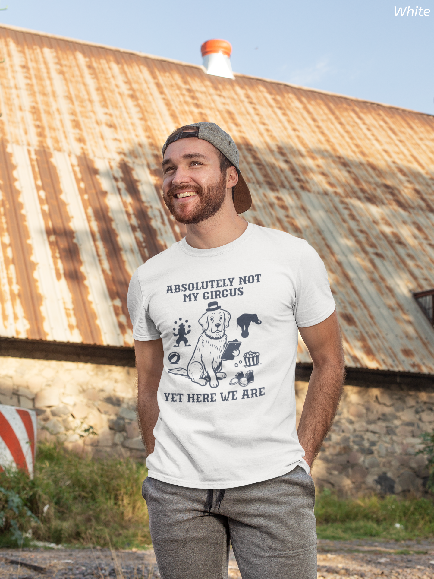 Not My Circus Shirt- Funny Dog Meltdown Tee, Chaos Coordinator Shirt
