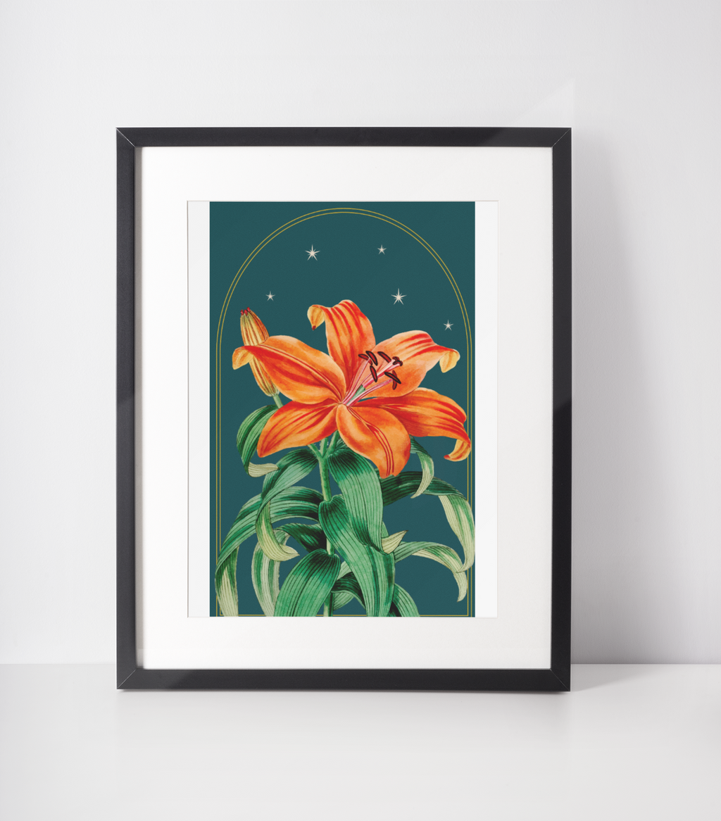Tiger Lily Botanical Print- 11x17 Vintage Botanical Illustration Wall Art