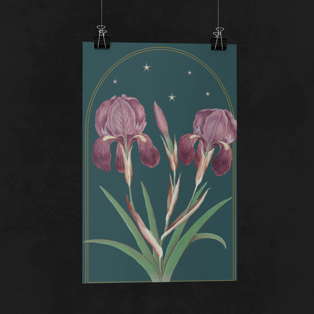 Iris Botanical Print- 11x17 Vintage Botanical Illustration Wall Art
