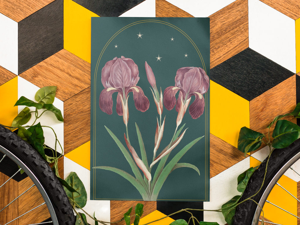 Iris Botanical Print- 11x17 Vintage Botanical Illustration Wall Art