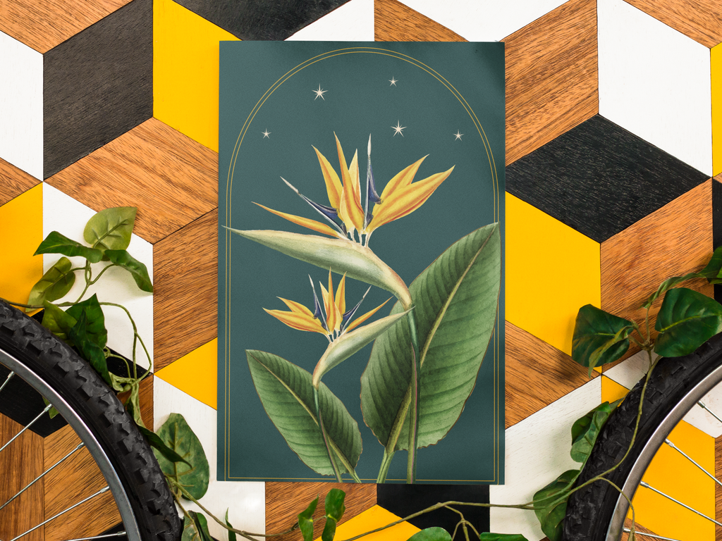 Bird of Paradise Botanical Print- 11x17 Vintage Botanical Illustration Wall Art