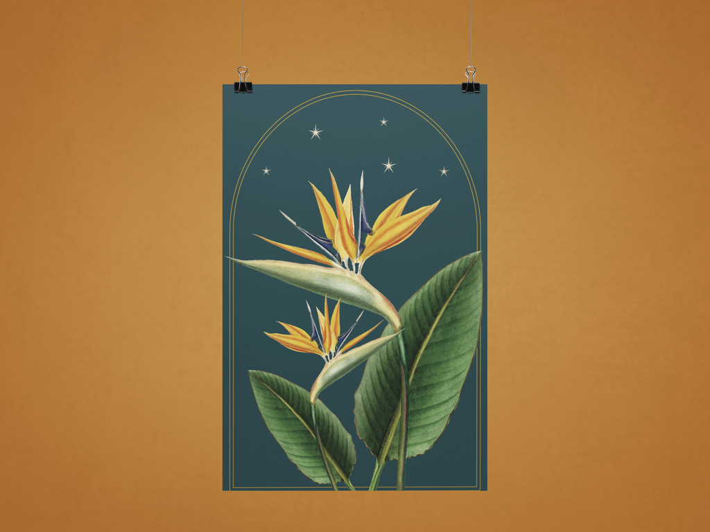 Bird of Paradise Botanical Print- 11x17 Vintage Botanical Illustration Wall Art