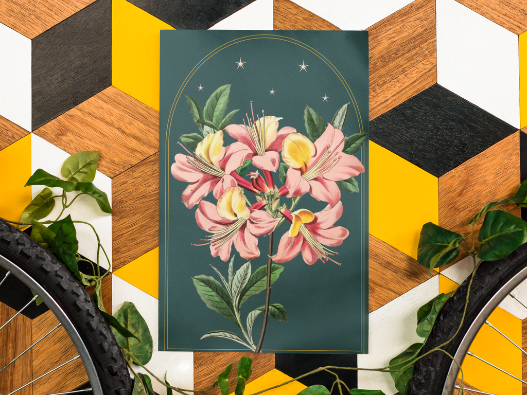 Azalea Botanical Print- 11x17 Vintage Botanical Illustration Wall Art