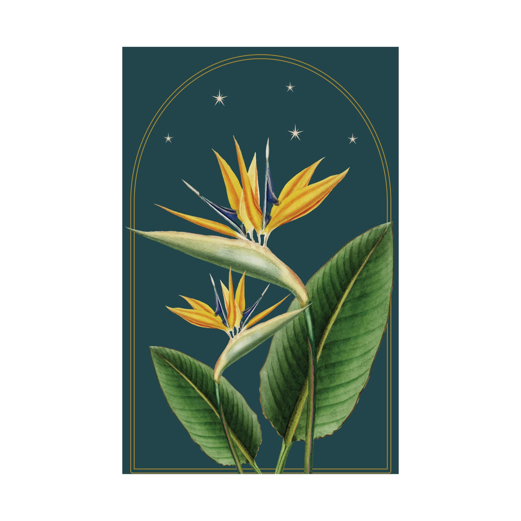 Bird of Paradise Botanical Print- 11x17 Vintage Botanical Illustration Wall Art