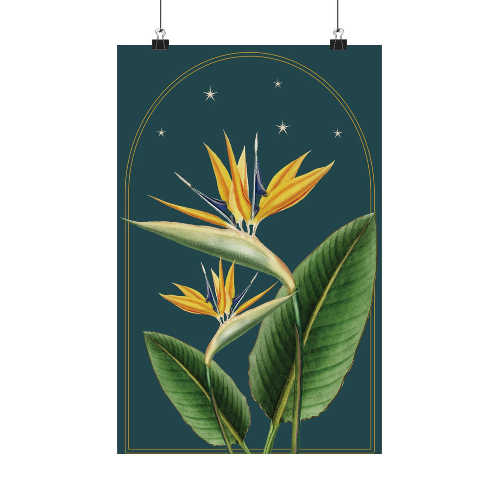 Bird of Paradise Botanical Print- 11x17 Vintage Botanical Illustration Wall Art
