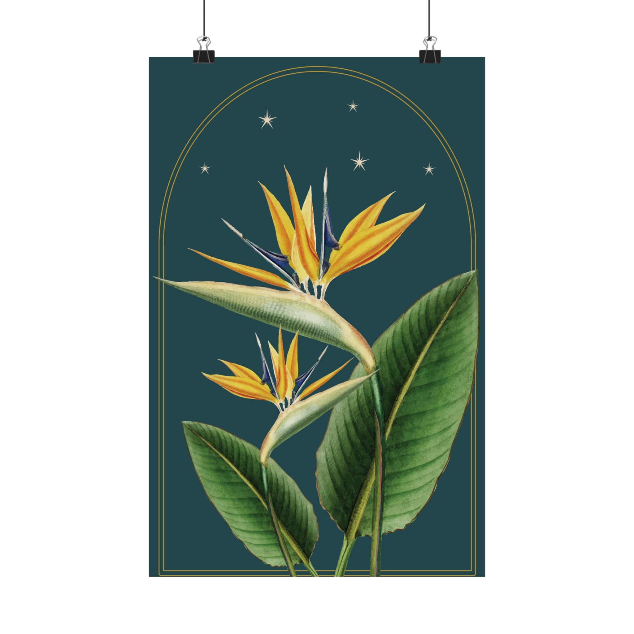 Bird of Paradise Botanical Print- 11x17 Vintage Botanical Illustration Wall Art