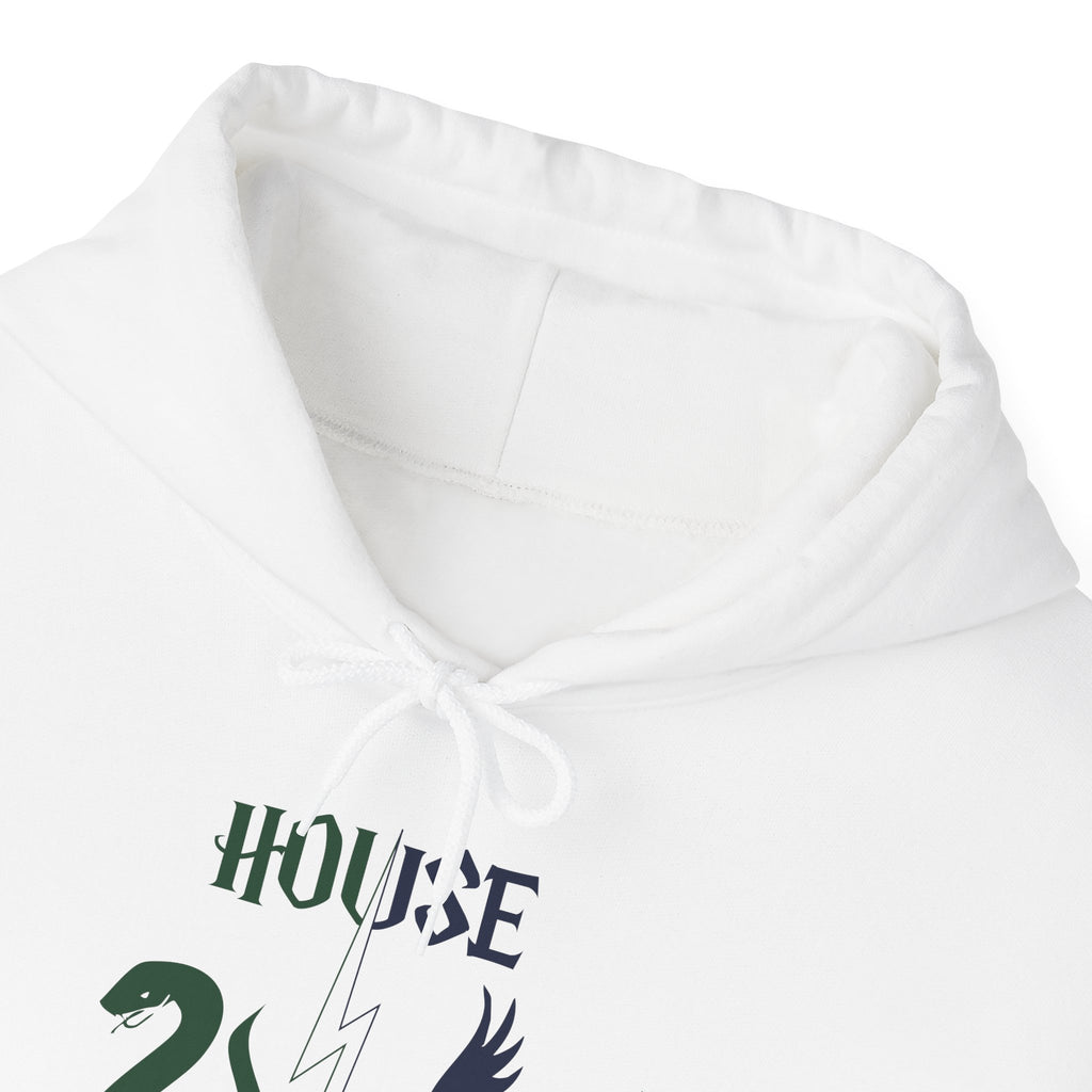 House Divided Rivalry Hoodie- Serpent + Raven Wizardcore Couple Hoodie