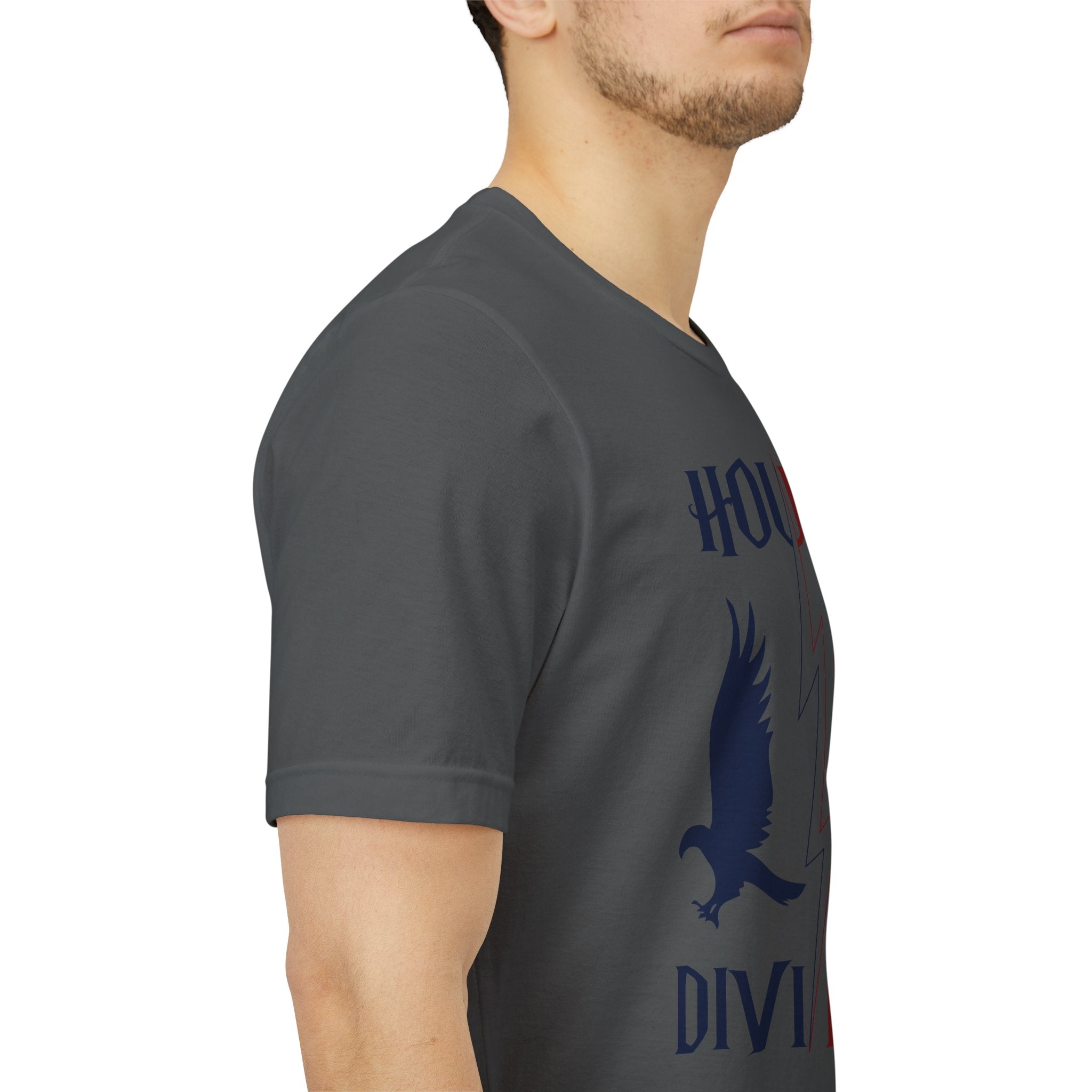 House Divided Rivalry Shirt- Lion + Raven Wizardcore Couple Tee