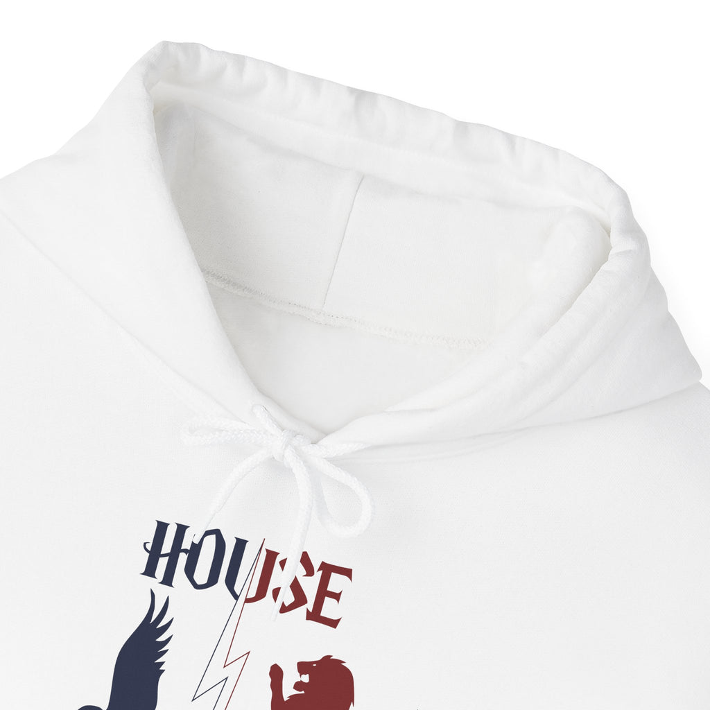 House Divided Hoodie – Ravenclaw x Gryffindor | Magical Rivalry Sweatshirt