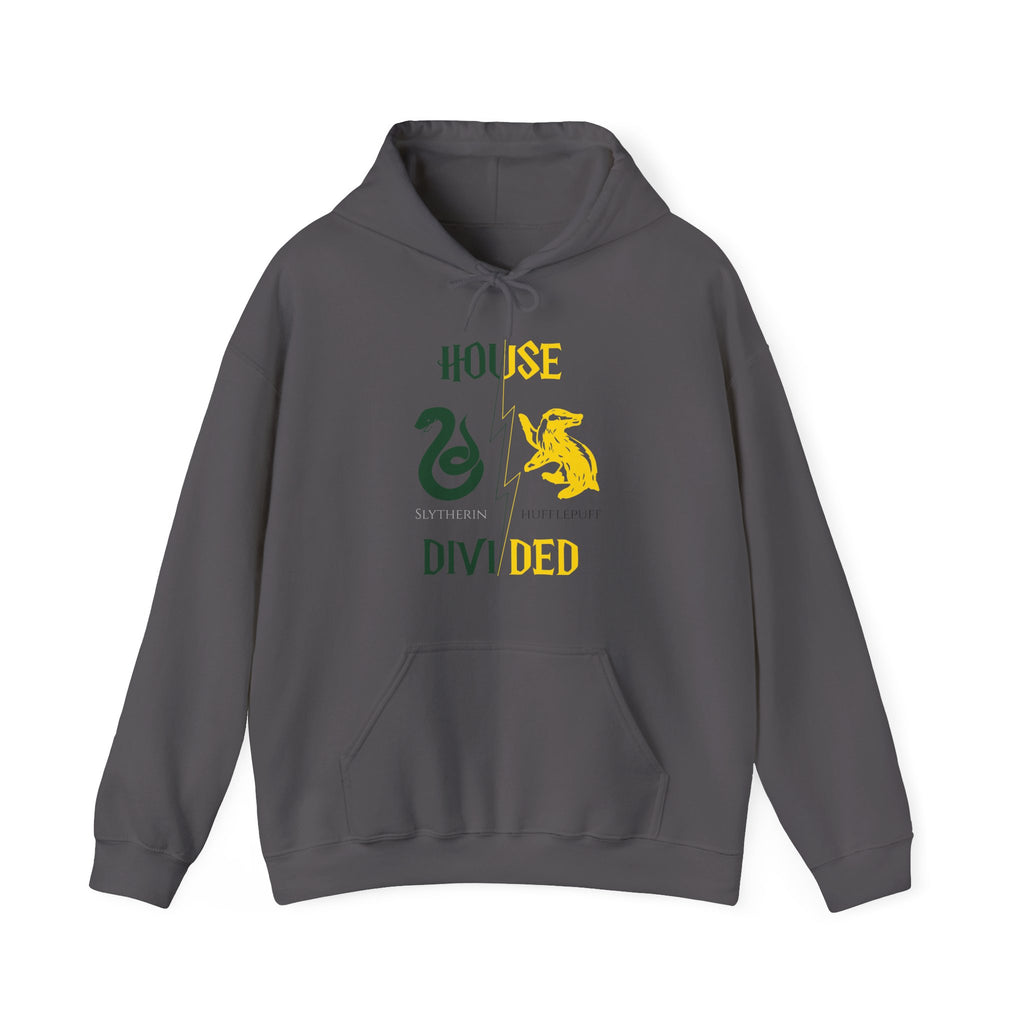 House Divided Hoodie – Slytherin x Hufflepuff | Magical Rivalry Sweatshirt