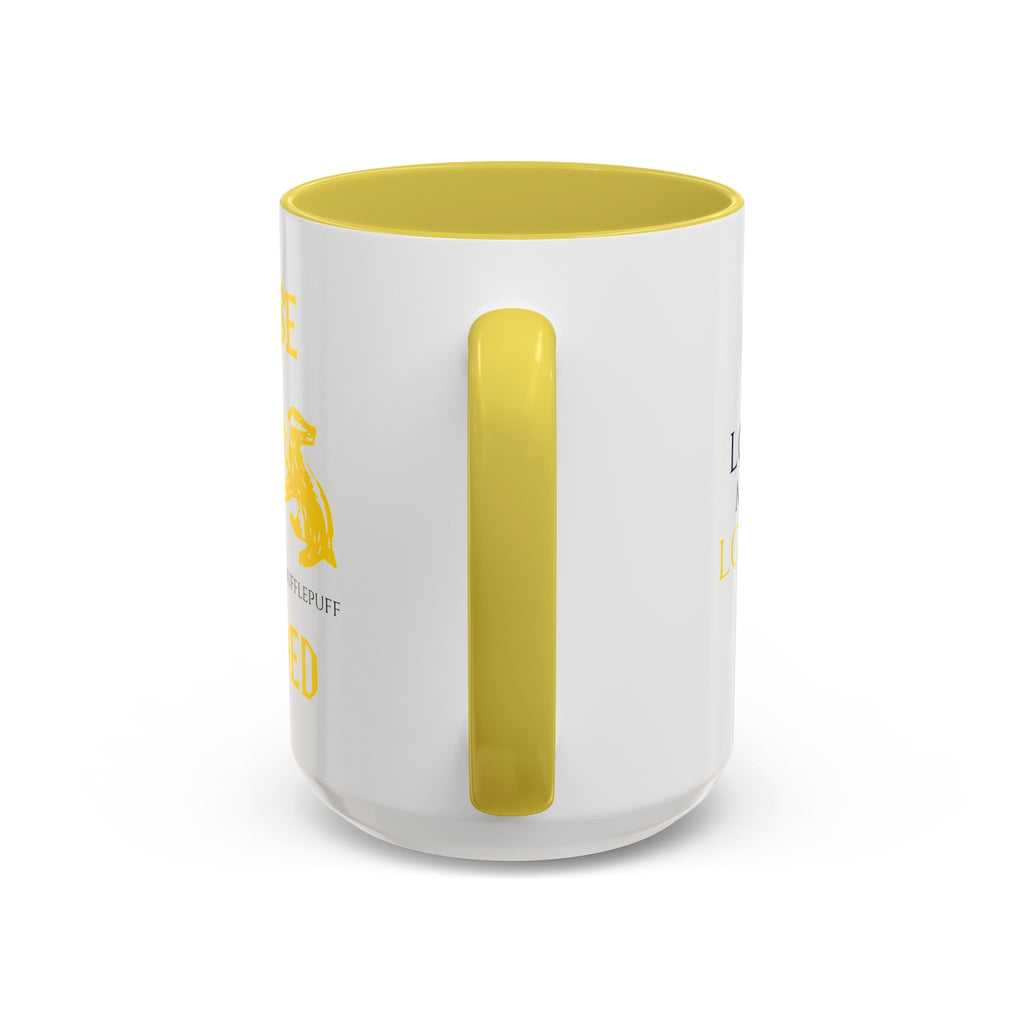 Ravenclaw Hufflepuff Mug | House Divided Cup | Wizarding Couple Gift