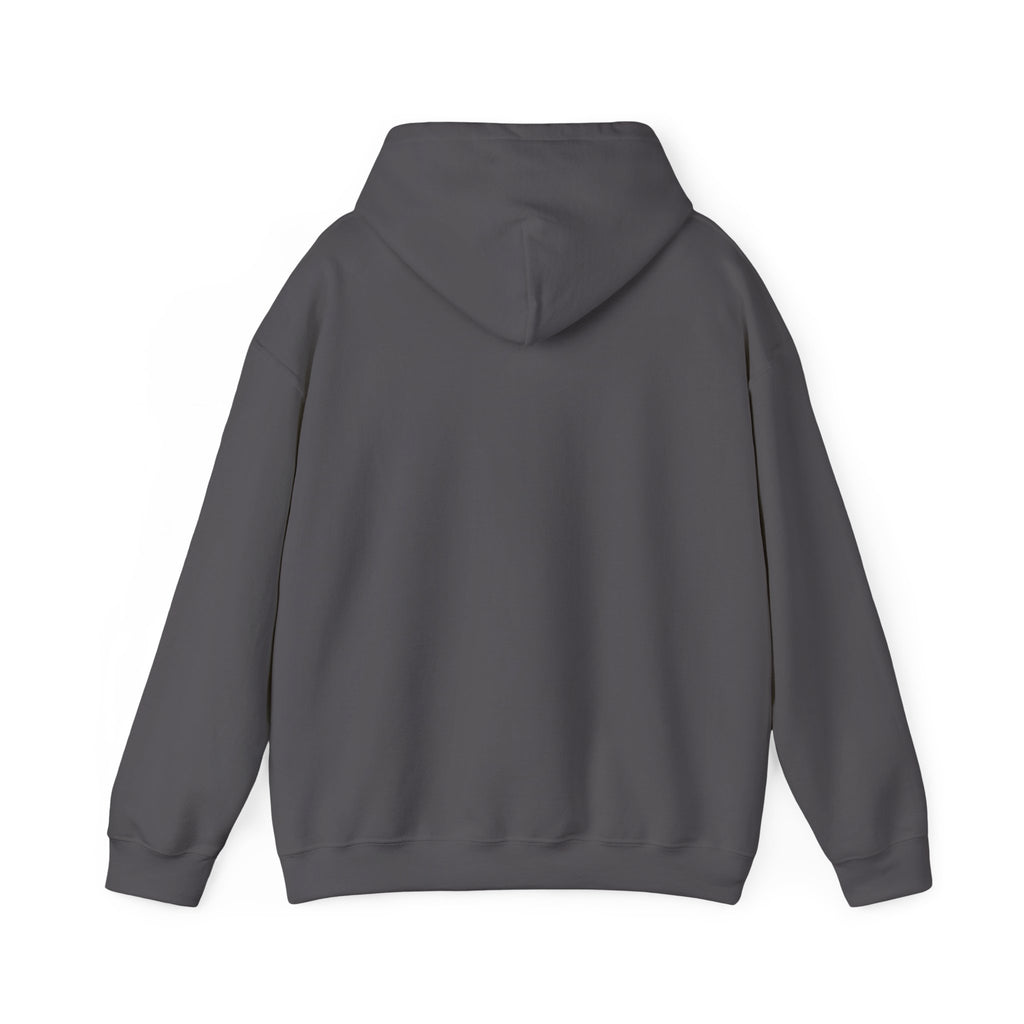 House Divided Rivalry Hoodie- Raven + Lion Wizardcore Couple Hoodie