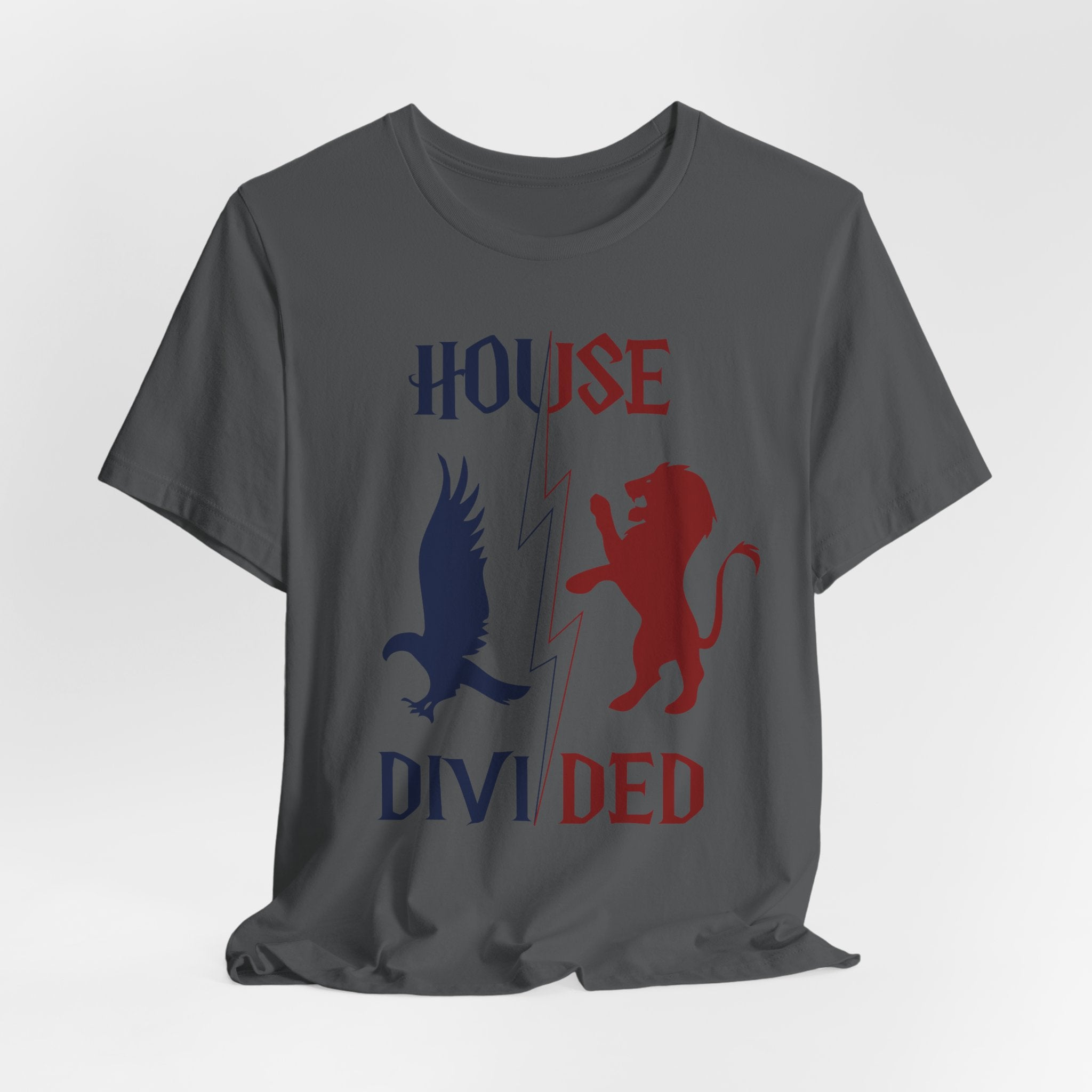 House Divided Rivalry Shirt- Lion + Raven Wizardcore Couple Tee