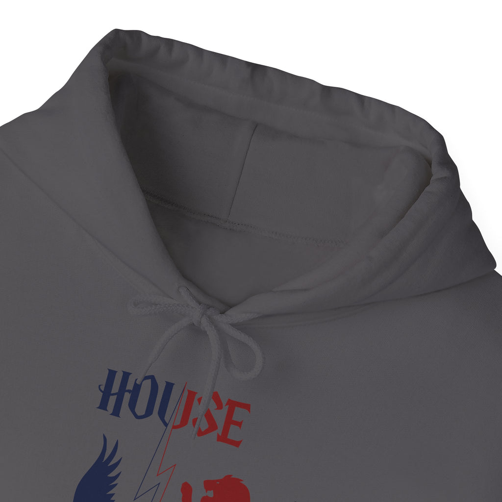 House Divided Rivalry Hoodie- Raven + Lion Wizardcore Couple Hoodie