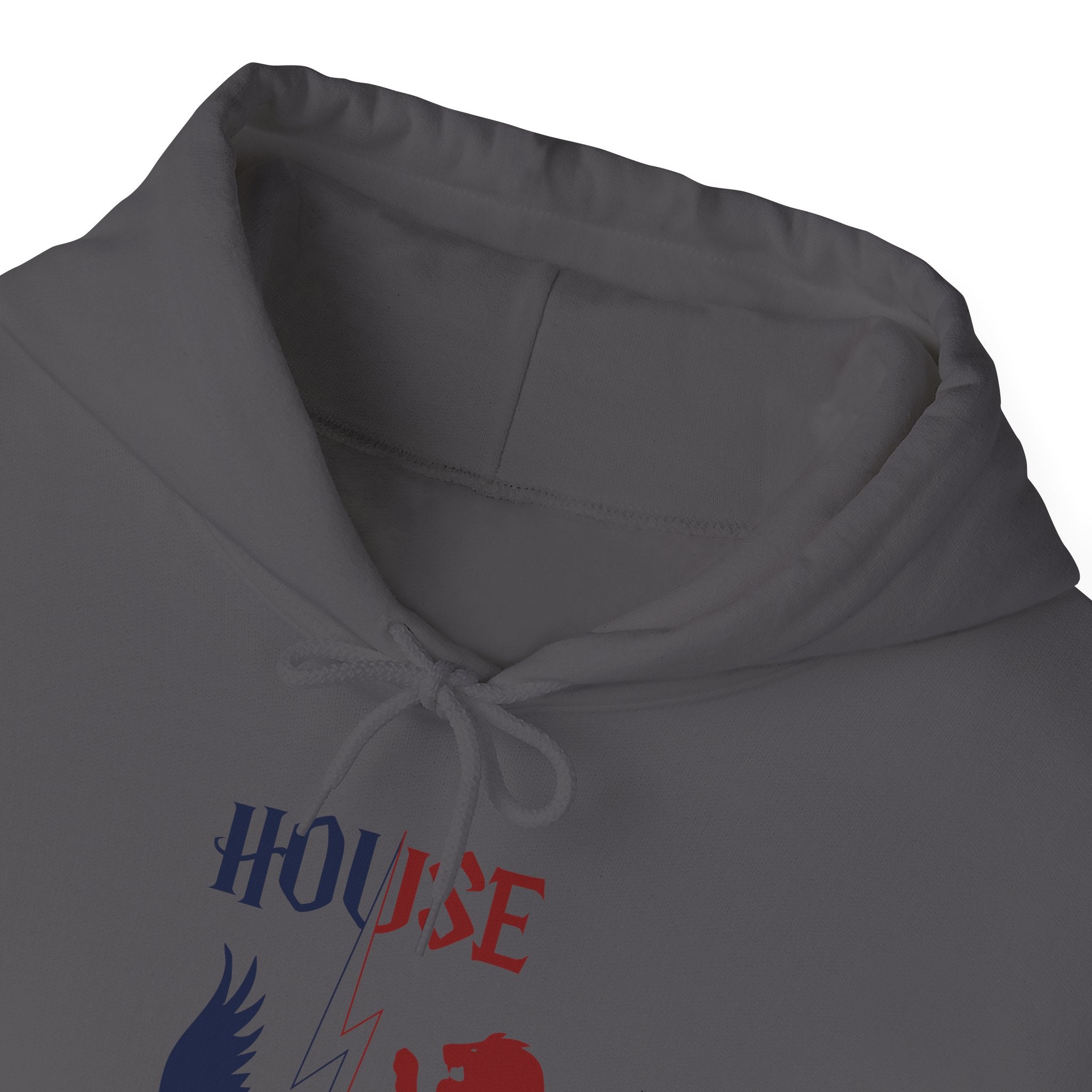 House Divided Rivalry Hoodie- Raven + Lion Wizardcore Couple Hoodie