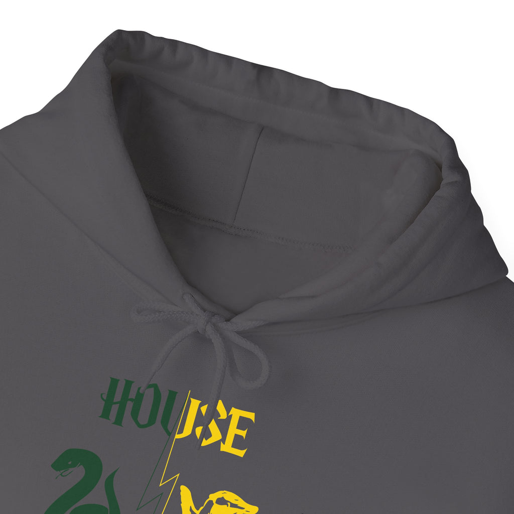 House Divided Hoodie – Slytherin x Hufflepuff | Magical Rivalry Sweatshirt