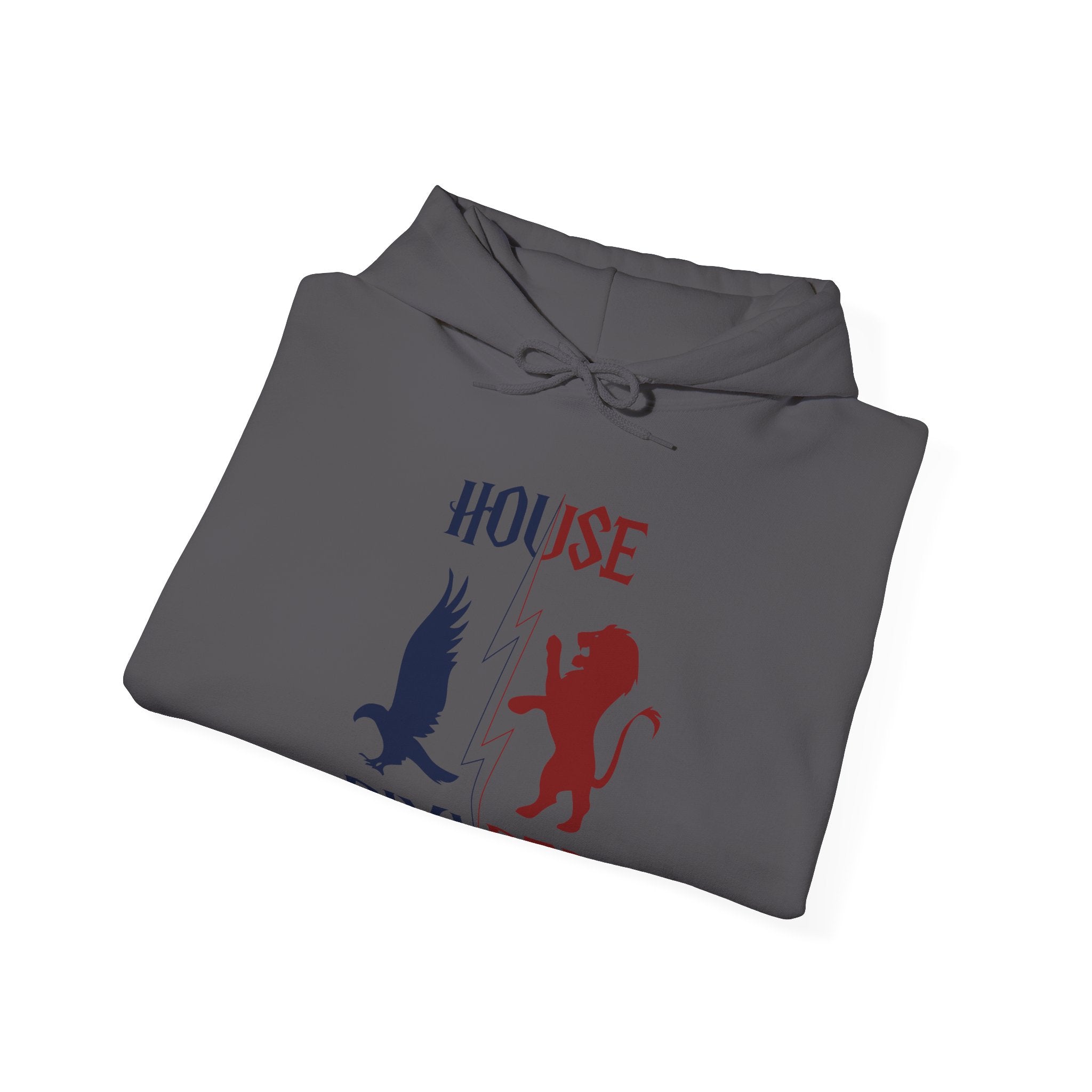 House Divided Rivalry Hoodie- Raven + Lion Wizardcore Couple Hoodie