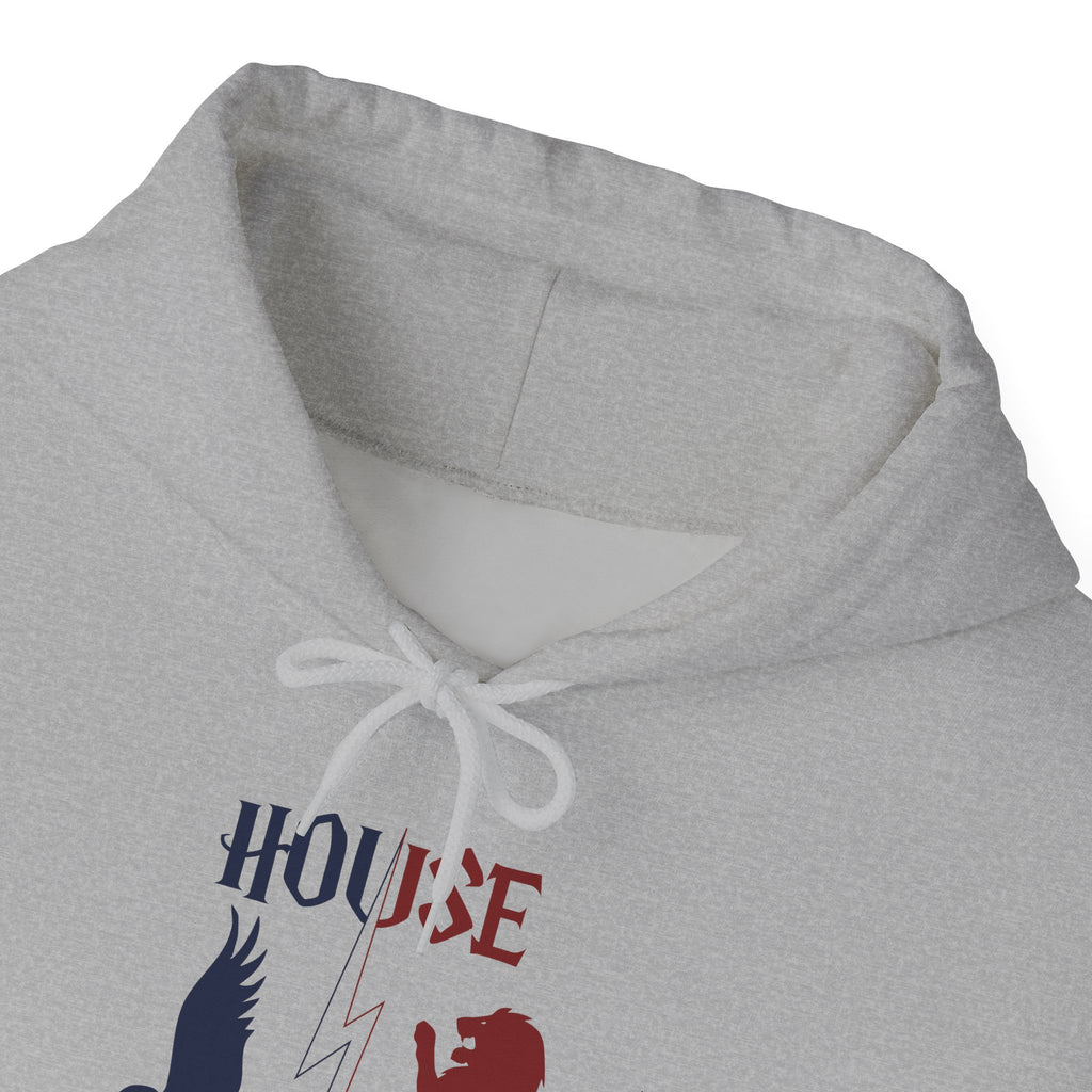 House Divided Hoodie – Ravenclaw x Gryffindor | Magical Rivalry Sweatshirt