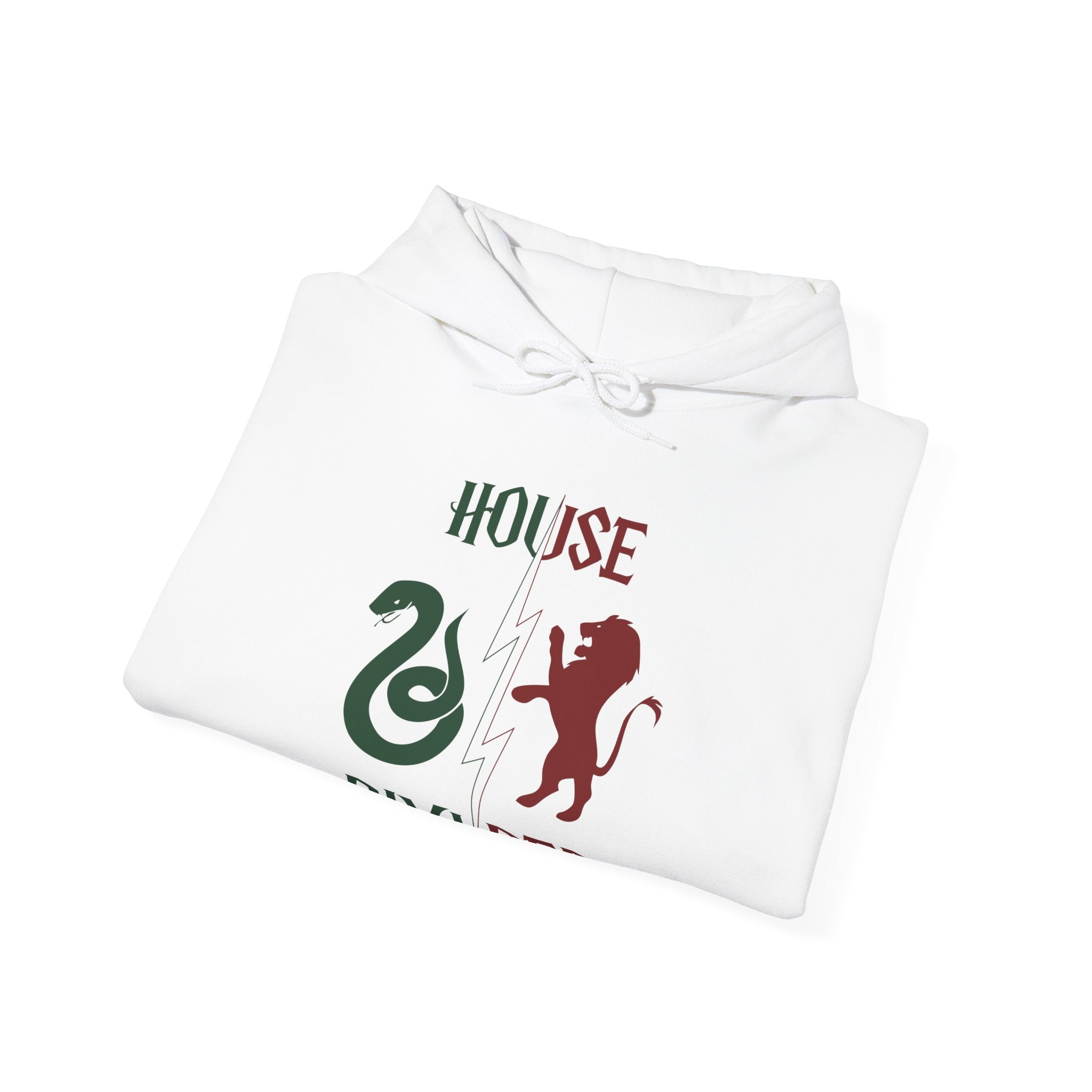 House Divided Rivalry Hoodie- Serpent + Lion Wizardcore Couple Hoodie