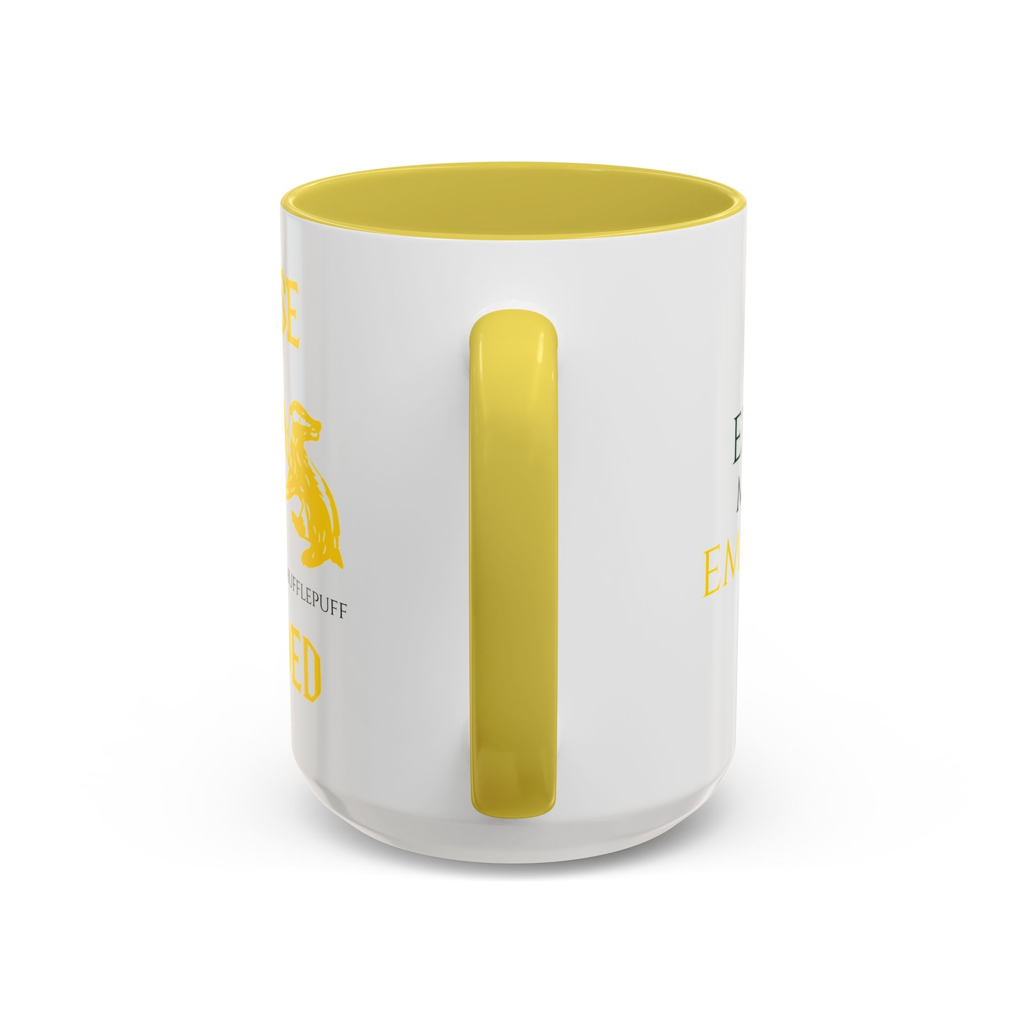 Slytherin Hufflepuff Mug | House Divided Cup | Wizarding Couple Gift