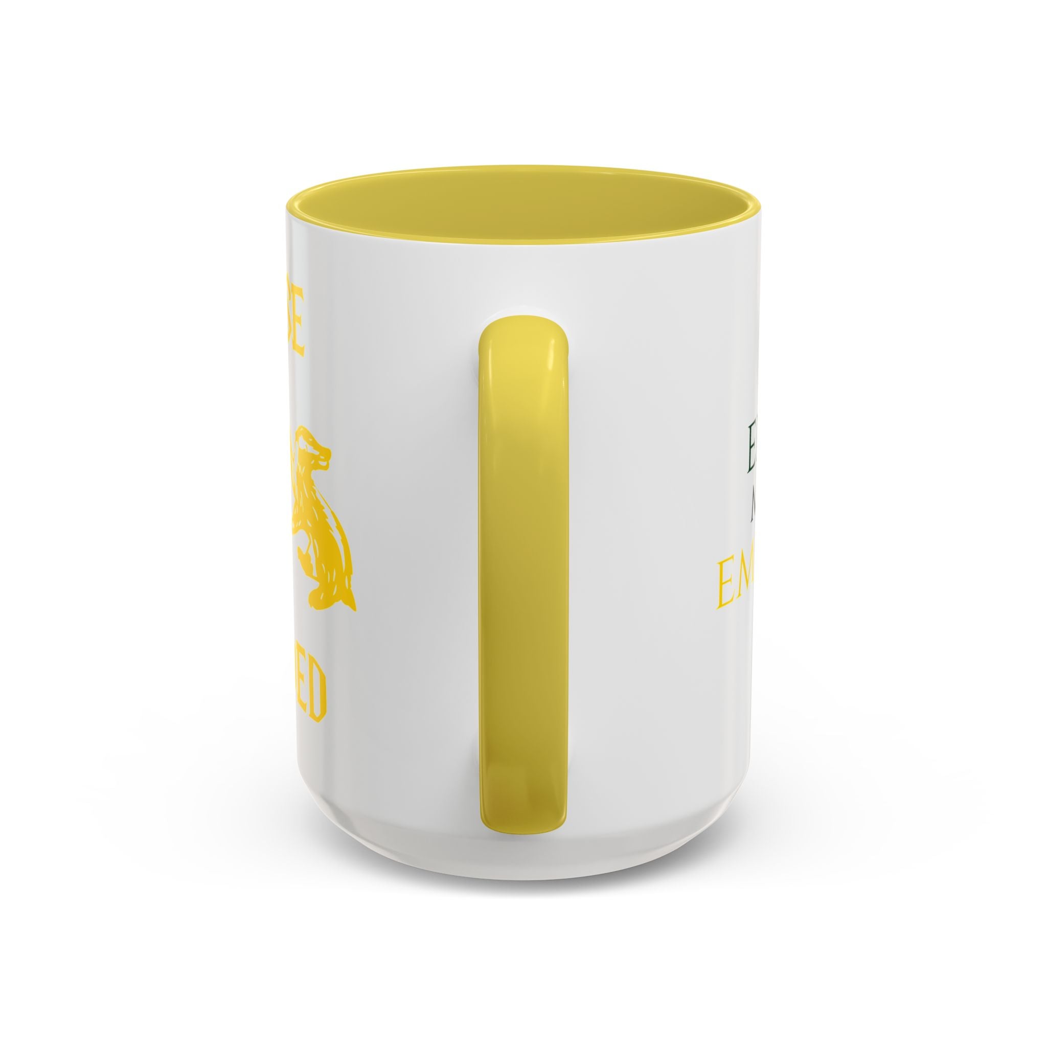 House Divided Rivalry Mug- Serpent + Badger Wizardcore Couple Mug (15oz)